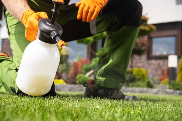 Reliable Portsmouth, NH Pest Control Solutions