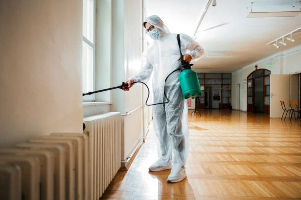 Best Pest Control Near Me in Portsmouth, NH